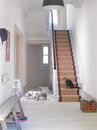 white hallway with brown stair runner with cat
