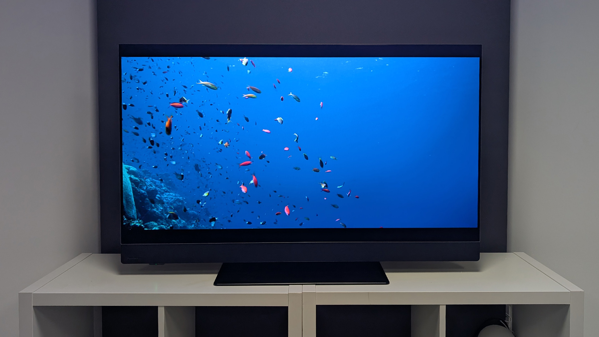 Panasonic Z90B 48-inch OLED TV