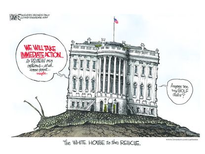 Obama cartoon White House policy