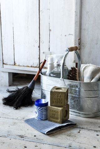 how to get rid of black mold with natural and professional cleaning products