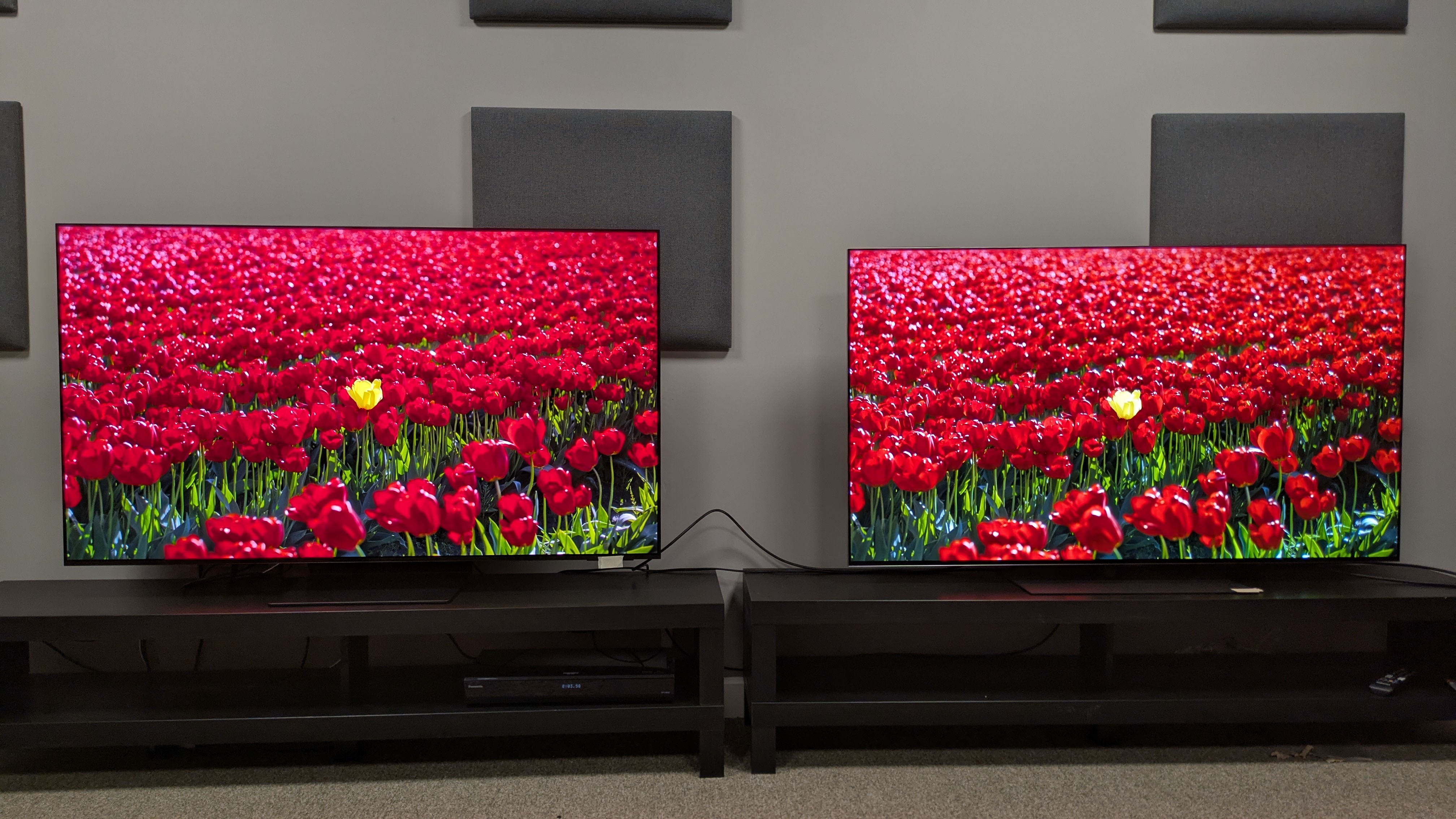 Samsung S95F (left) vs LG G5 (right) showing red flowers on screen
