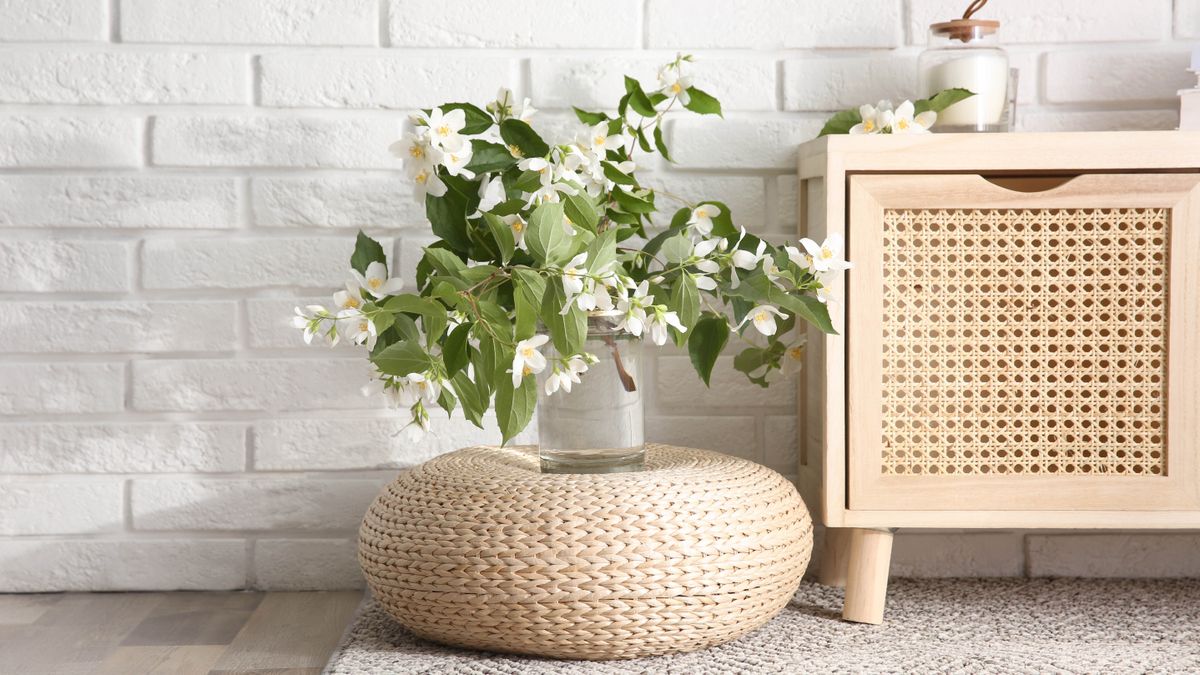 7 indoor plants that will make your house smell nicer
