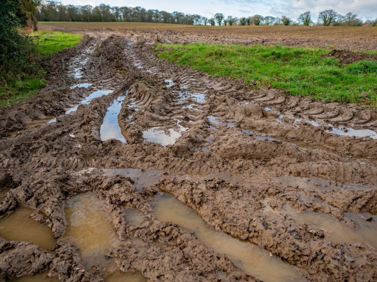 Tilling And Soil Health Effect Of Tillage On Wet Soil Gardening