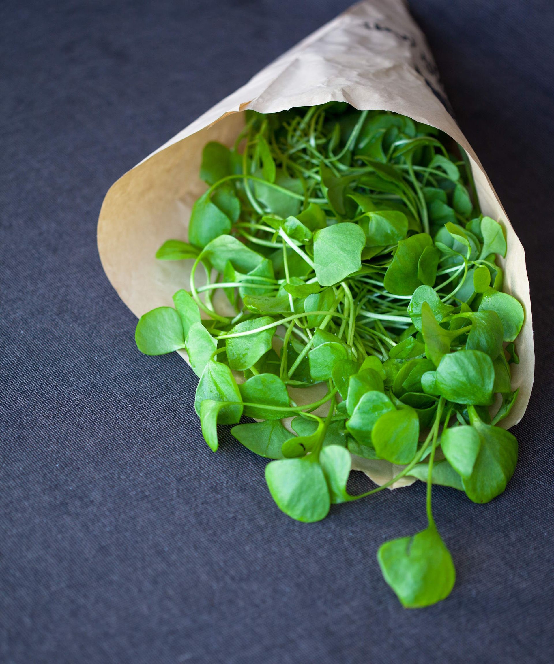 How to grow winter purslane by sowing indoors or outdoors | Homes and Gardens