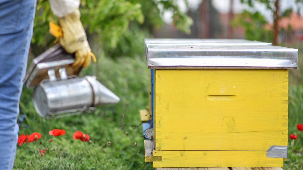 bee boxes, backyard beekeeping 