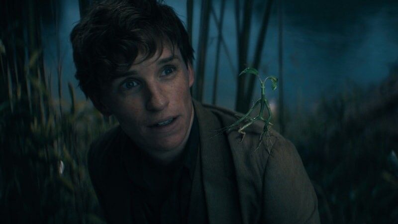 Eddie Redmayne with a creature on his shoulder in Fantastic Beasts: The Secrets of Dumbledore