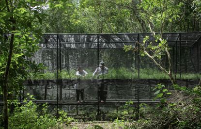 The Sian Ka_an Reforestation Nursery designed by Rodr&iacute;guez + De Mitri