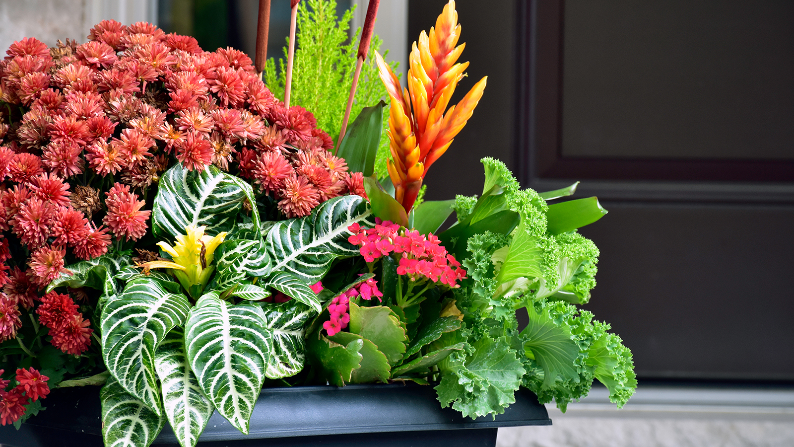 Container gardening with a planter full of blooms