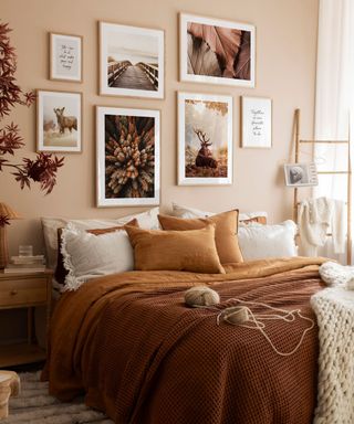 Orange bedding, fall plant, knitting, posters