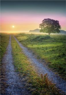 Misty dawn at Bradbury Rings, Dorset.