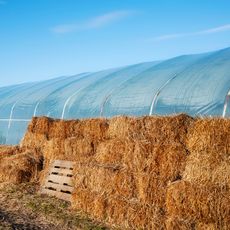 straw bale greenhouse supporting a pvc tunnel