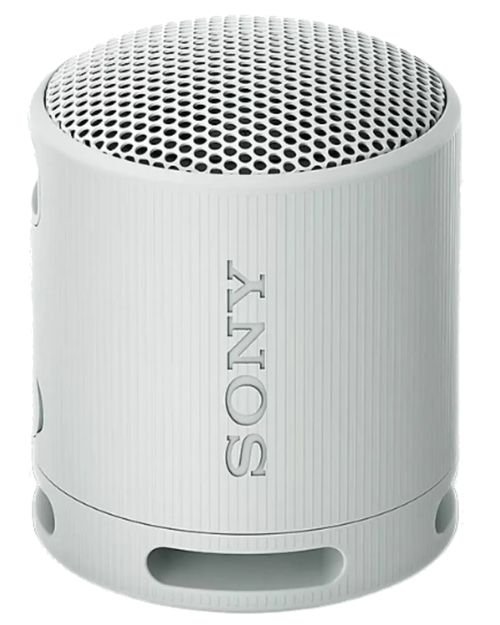 SRS-XB100 &mdash; light Grey