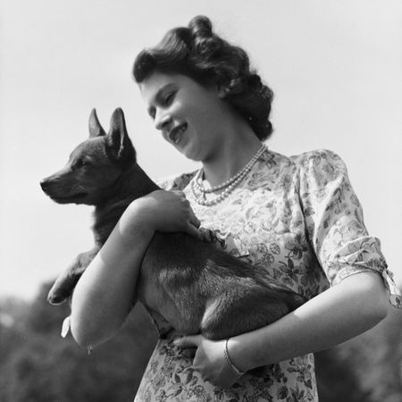Queen Elizabeth