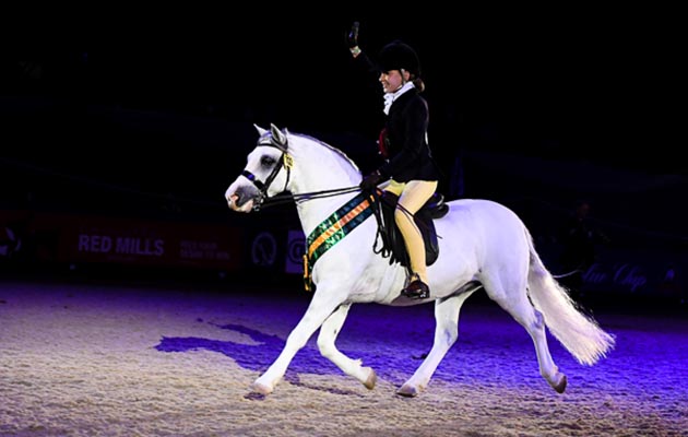 HorseNo732_HOYS_PN18_174450.jpg