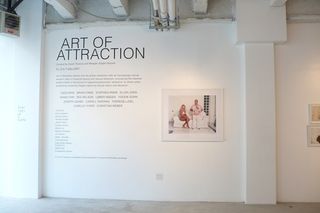 Installation view of the Art of Attraction exhibition