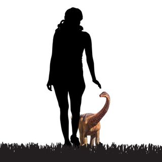 Recreation of a baby titanosaur next to a woman.