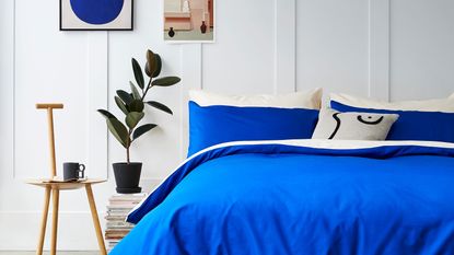 cobalt blue bedding in white bedroom with rubber plant and artwork on the wall