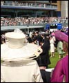 ascothats5th.jpg
