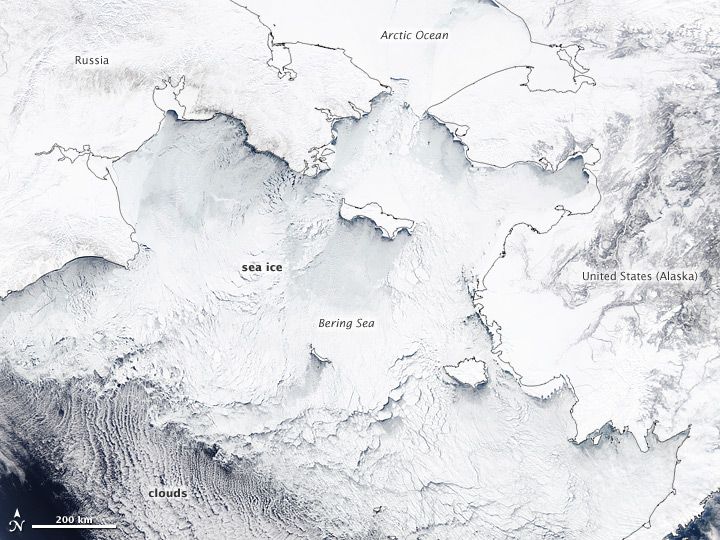 Sea ice chokes the Bering Sea in this NASA satellite image taken on March 19 by NASA&#039;s Aqua satellite.