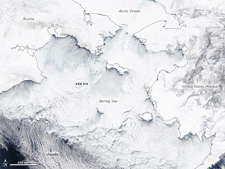 Sea ice chokes the Bering Sea in this NASA satellite image taken on March 19 by NASA's Aqua satellite.