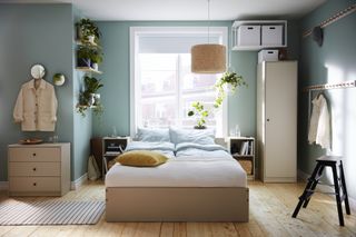 blue bedroom with shelf with plants