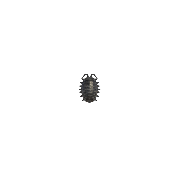 Animal Crossing New Horizons Pill Bug
