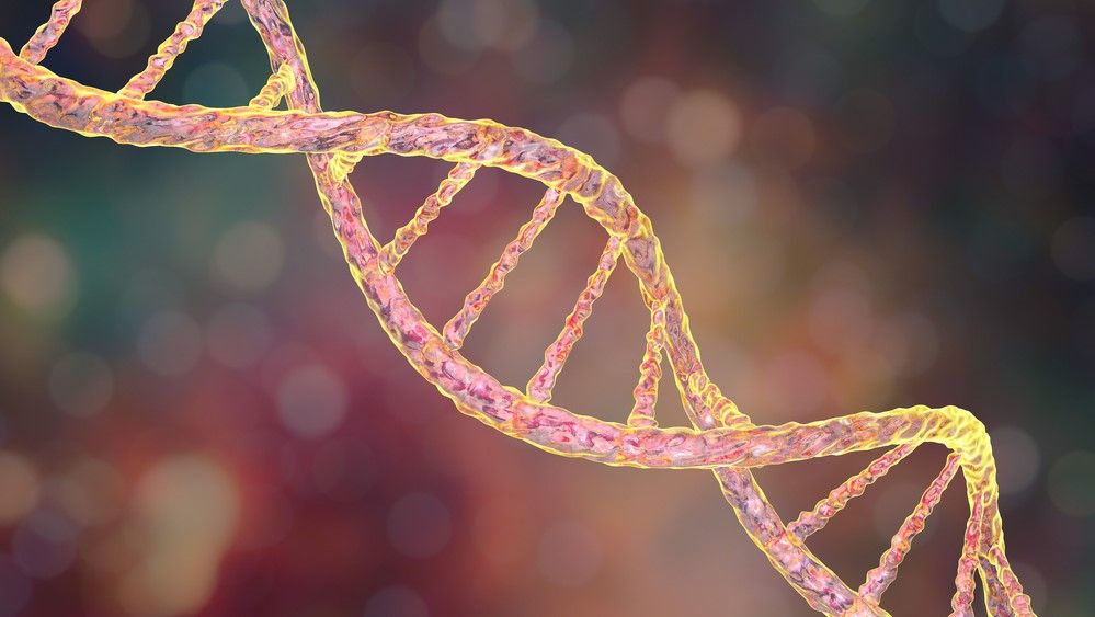 New study provides first evidence of non-random mutations in DNA