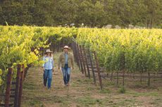 Annie Favia and Andy Erickson of Favia Wines in their organic vineyards in Oakville