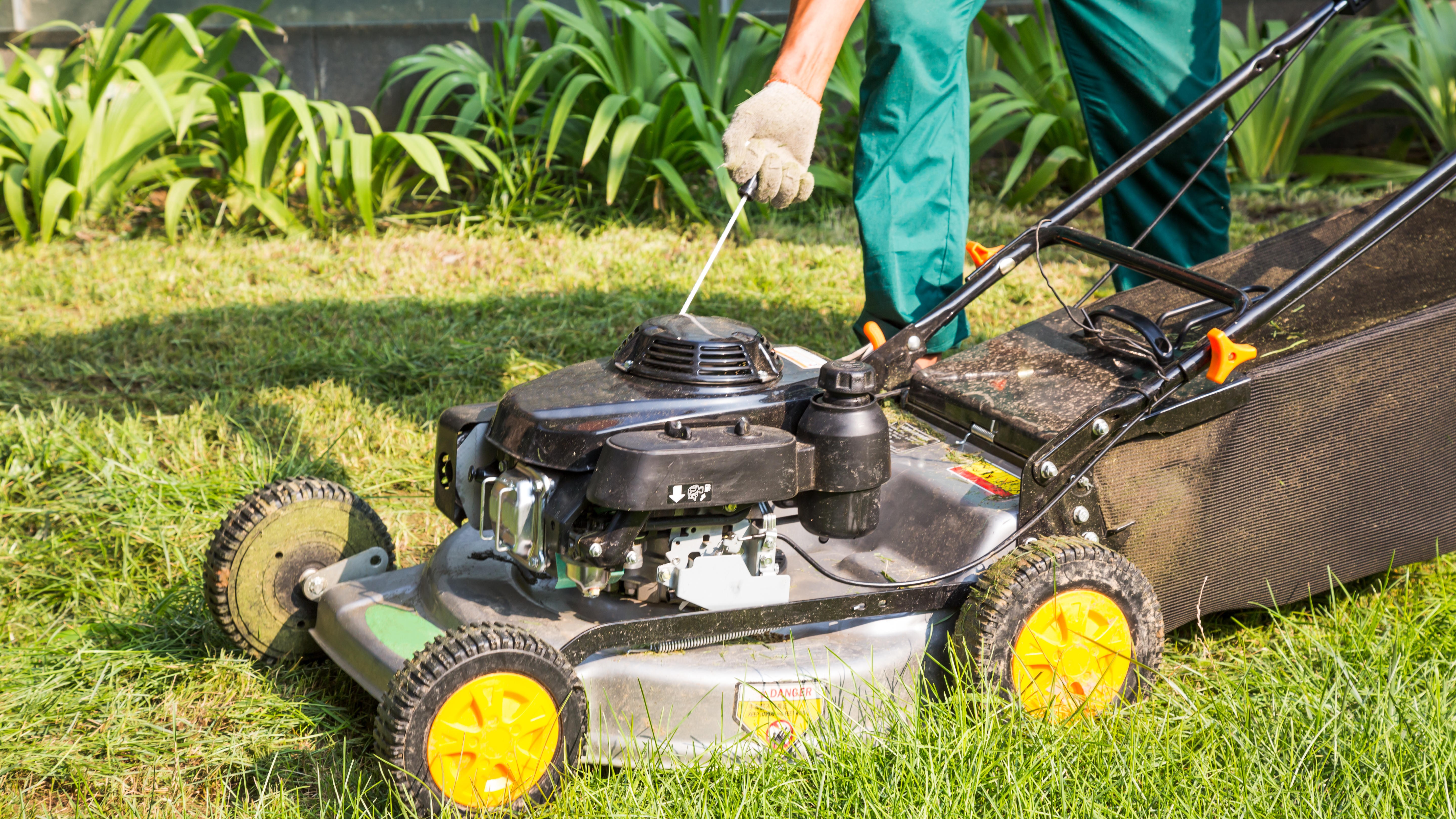 The 5 Best Electric Lawn Mowers in 2023