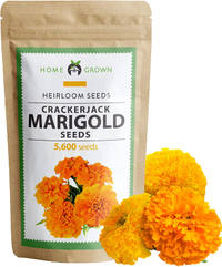 Marigold seeds, Amazon