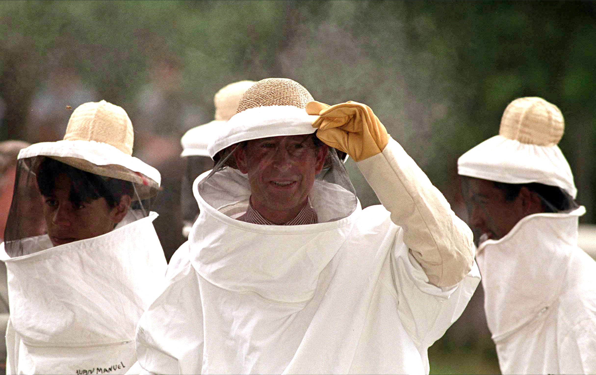 Prince Charles In Argentina Wearing A Beekeeper Protective Suit For A Visit To See Bee Keeping At Buenas Ondas Organic Vegetable Garden. (Photo by Tim Graham Photo Library via Getty Images)
