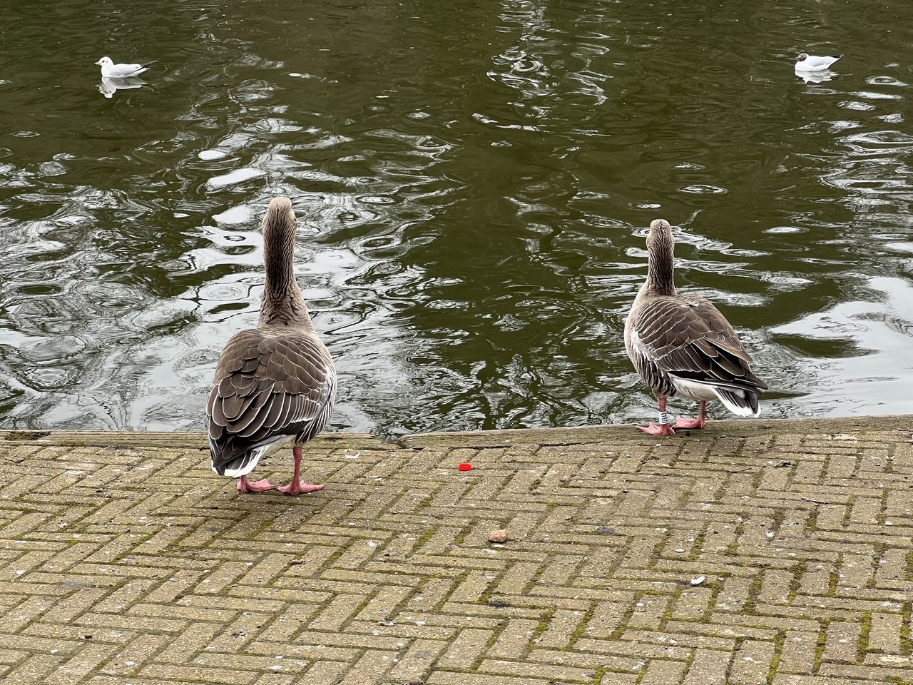 iPhone 14 Pro sample images