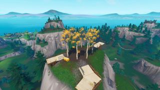 Fortnite hill top with a circle of trees