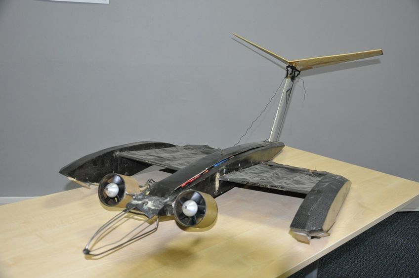 Bat-Wing Drone