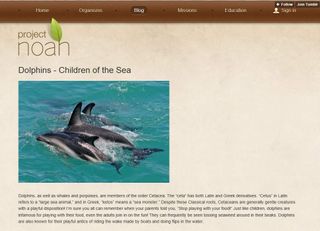 Screenshot Project Noah: Two dolphins in the surf