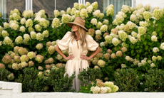 Shea McGee stood in large bed of hydrangea 'limelight' wearing cream dress and hat