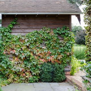 garden maintenance by taking a closer look at the condition of your fencing, walls and outbuildings