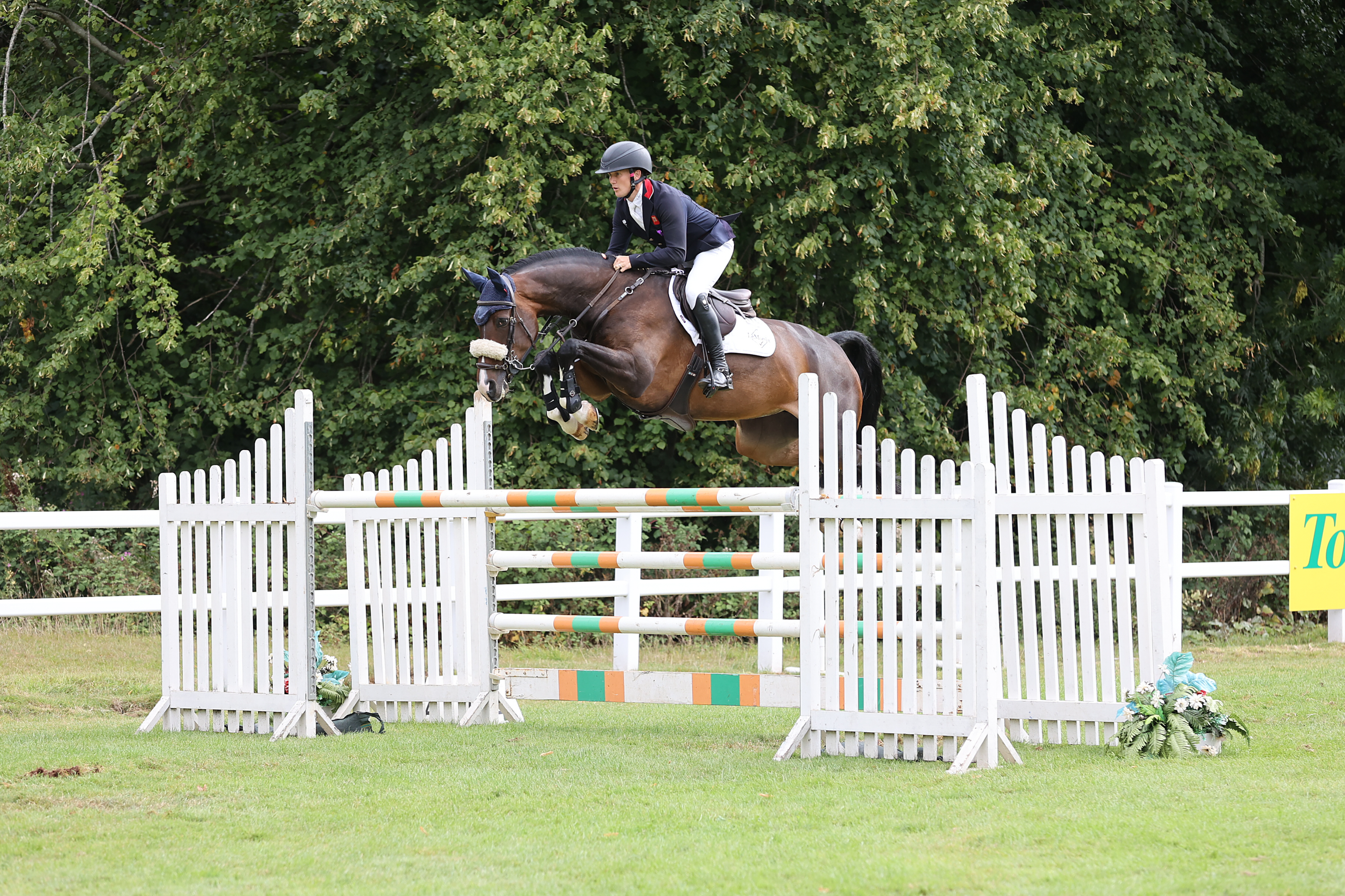Olympic gold medallist Tom McEwen claims first ever HOYS showjumping ticket with Kilcannon Mischeif.