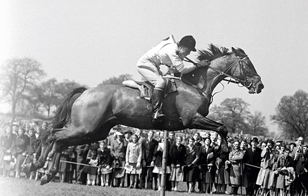 Margaret Hough on Bambi,