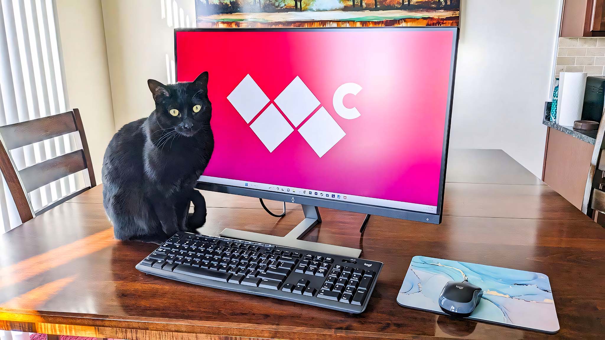 Monoprice Dark Matter 27-inch gaming monitor with cat