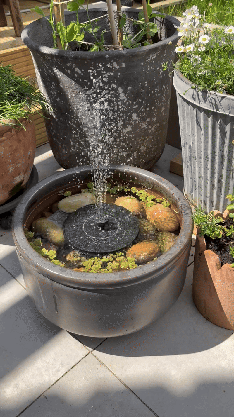 Gif of a solar water fountain in a mini pond created in a ceramic planter