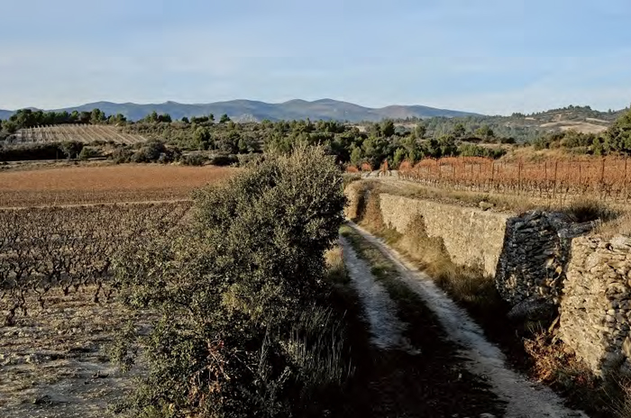 Minervois-La Livini&amp;egrave;re