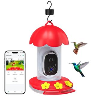 Red Hummingbird Feeder Camera With 3 Feeding Ports