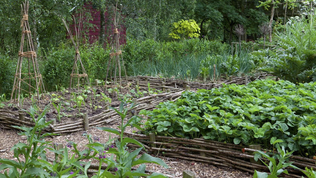 monty don mulching kitchen garden