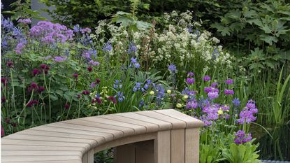 What are codling moths and what damage do they cause? | Homes and Gardens