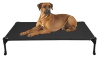 Best dog bed: A big, tan dog lying on the Coolaroo Steel-Framed Elevated Dog Bed