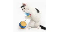 Best interactive cat toy: Cat playing with the Catit Play Tumbler Bee