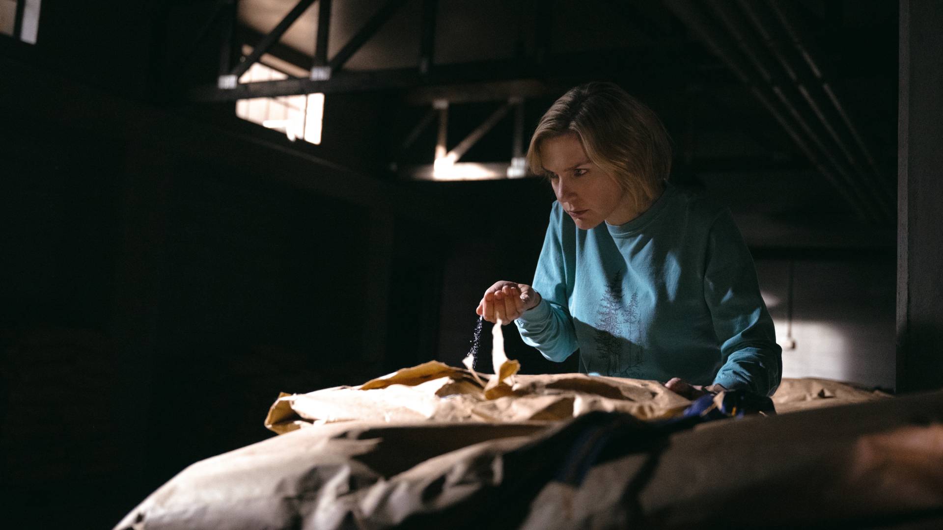 Rhea Seehorn as Carol in Pluribus