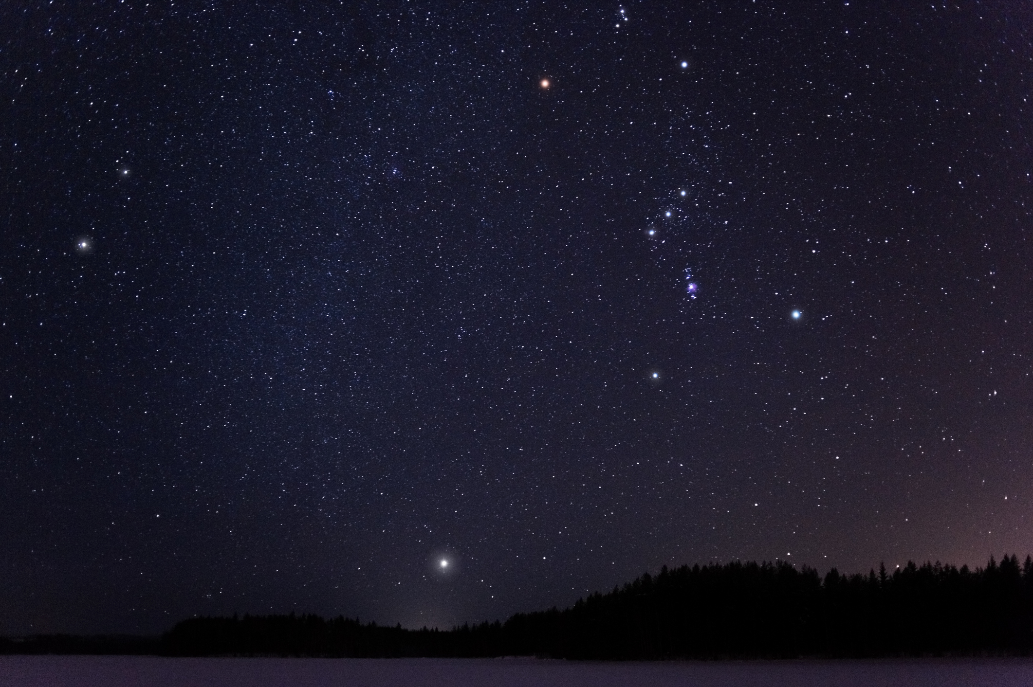 Orion and Canis Minor constellations and Sirius above horizon on a cold winter night.