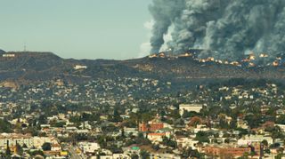 Griffith Park is on fire in 2024; that's going to devalue a lot of the celebrity-owned homes in Los Feliz